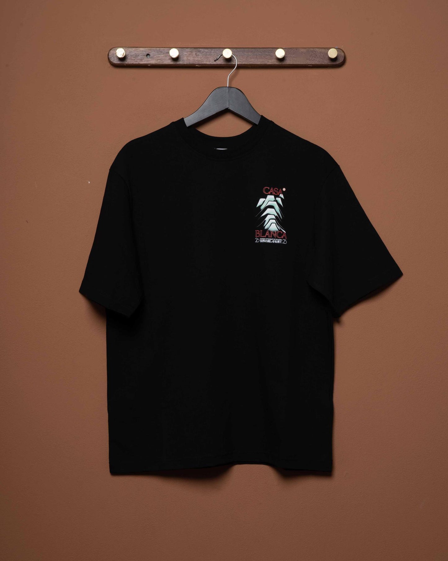 FROSTY MOUNTAIN SCREEN PRINTED OVERSIZED T-SHIRT