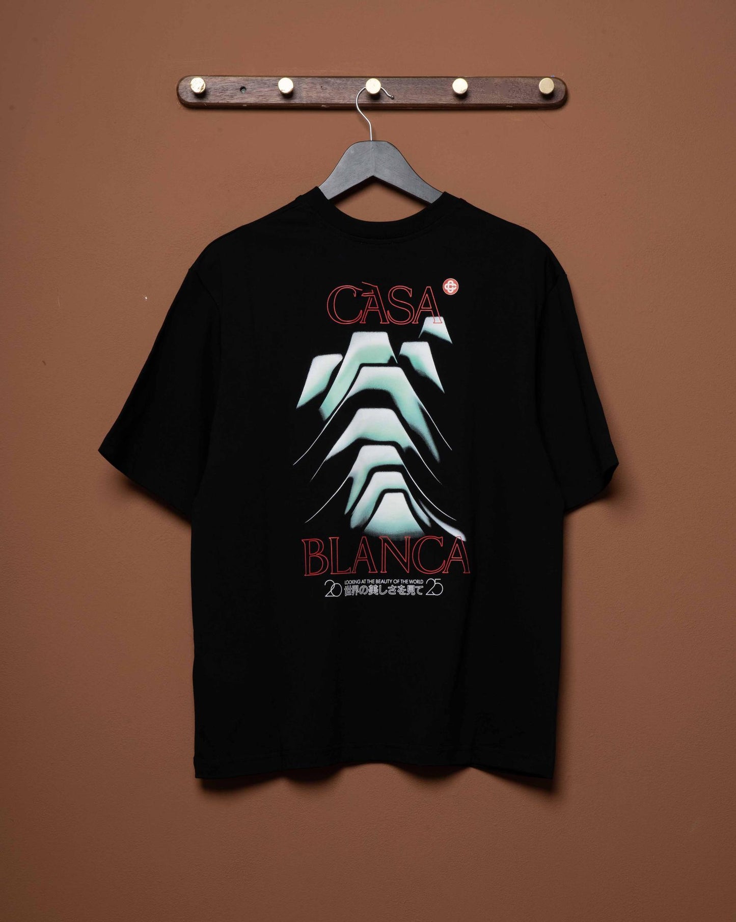 FROSTY MOUNTAIN SCREEN PRINTED OVERSIZED T-SHIRT